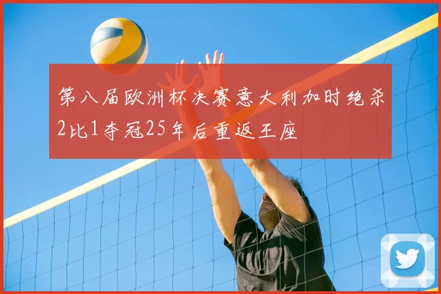 第八届欧洲杯决赛意大利加时绝杀2比1夺冠25年后重返王座