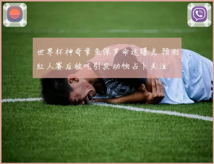 世界杯神奇章鱼保罗命运曝光 预测红人赛后被吃引发动物占卜关注