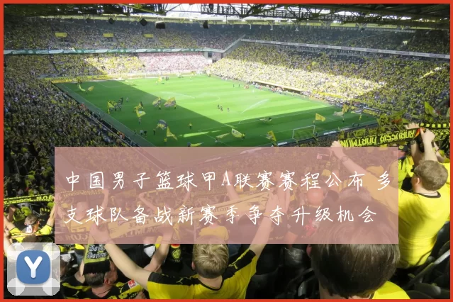 中国男子篮球甲A联赛赛程公布 多支球队备战新赛季争夺升级机会
