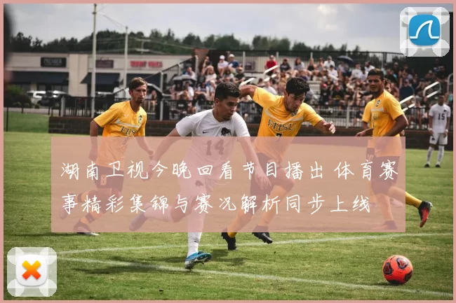 湖南卫视今晚回看节目播出 体育赛事精彩集锦与赛况解析同步上线